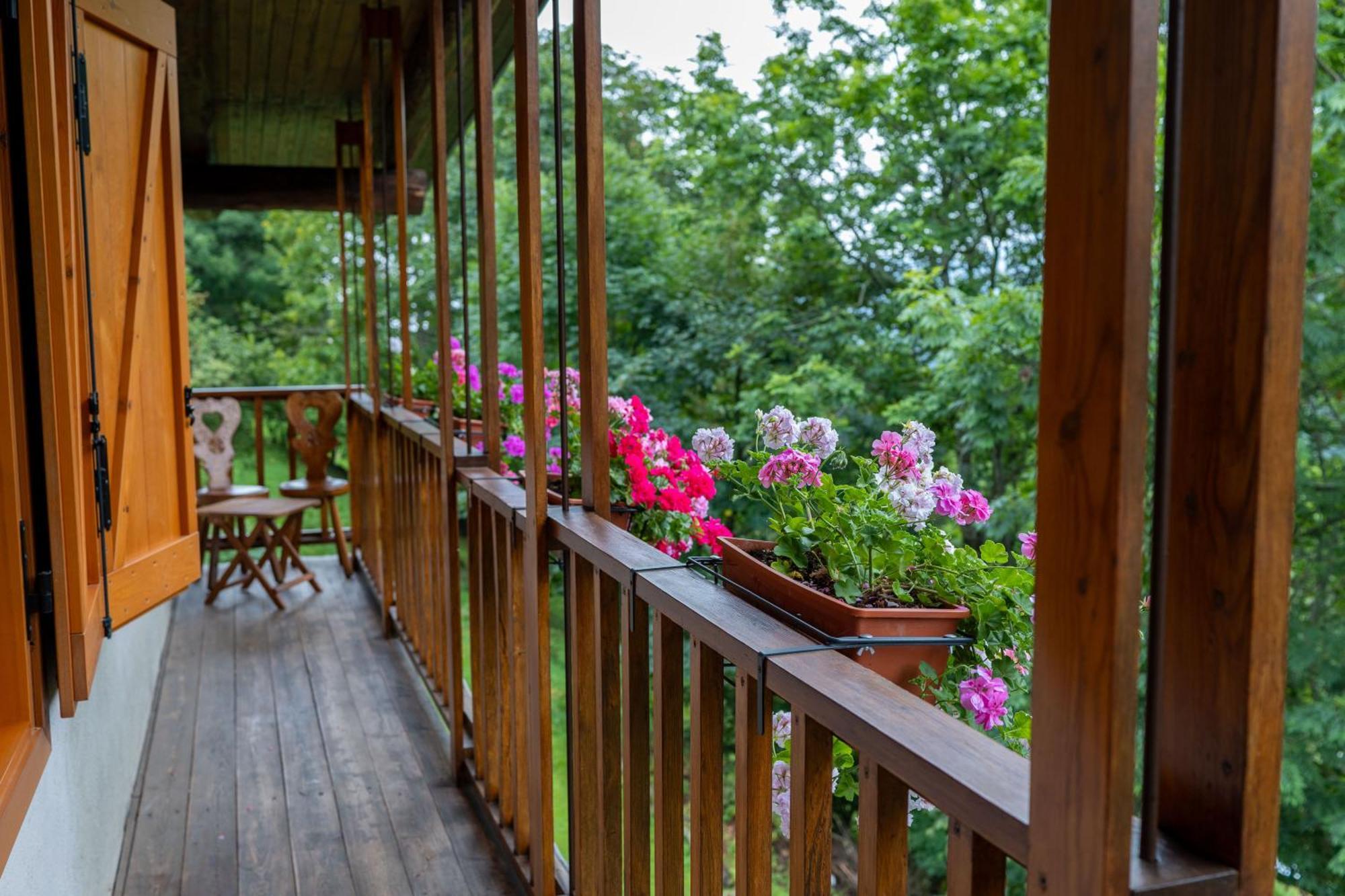 Ferienwohnung La Finestra Sul Monviso Crissolo Exterior foto